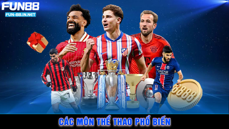 Các môn thể thao phổ biến