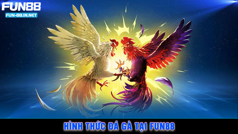 Hình thức đá gà tại FUN88